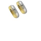 Arany Női fülbevaló 14 karátos Fülbevaló , ródium díszes , francia záras modell (Nr.22) webshop