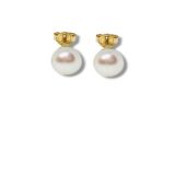 Arany Női fülbevaló 14 karátos Fülbevaló , fehér gyöngyös bedugós , stekkeres modell (Nr.9) webshop